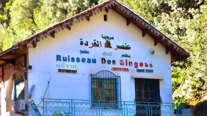 Auberge Ruisseau des Singes